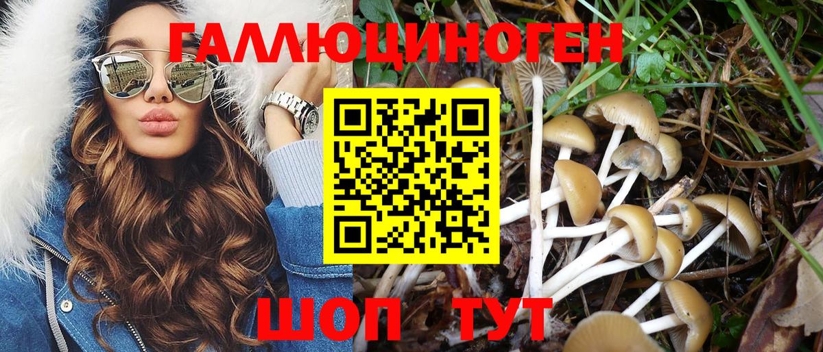 Псилоцибиновые грибы прущие грибы  Галлюциногенные грибы Cubensis  Вход с VPN  Беслан 