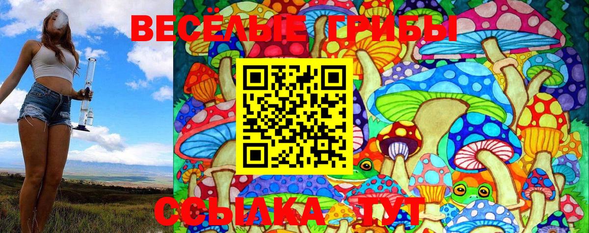 Галлюциногенные грибы Psilocybine cubensis Беслан